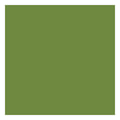 Duni-Zelltuch-Serviette-leafgreen-186365