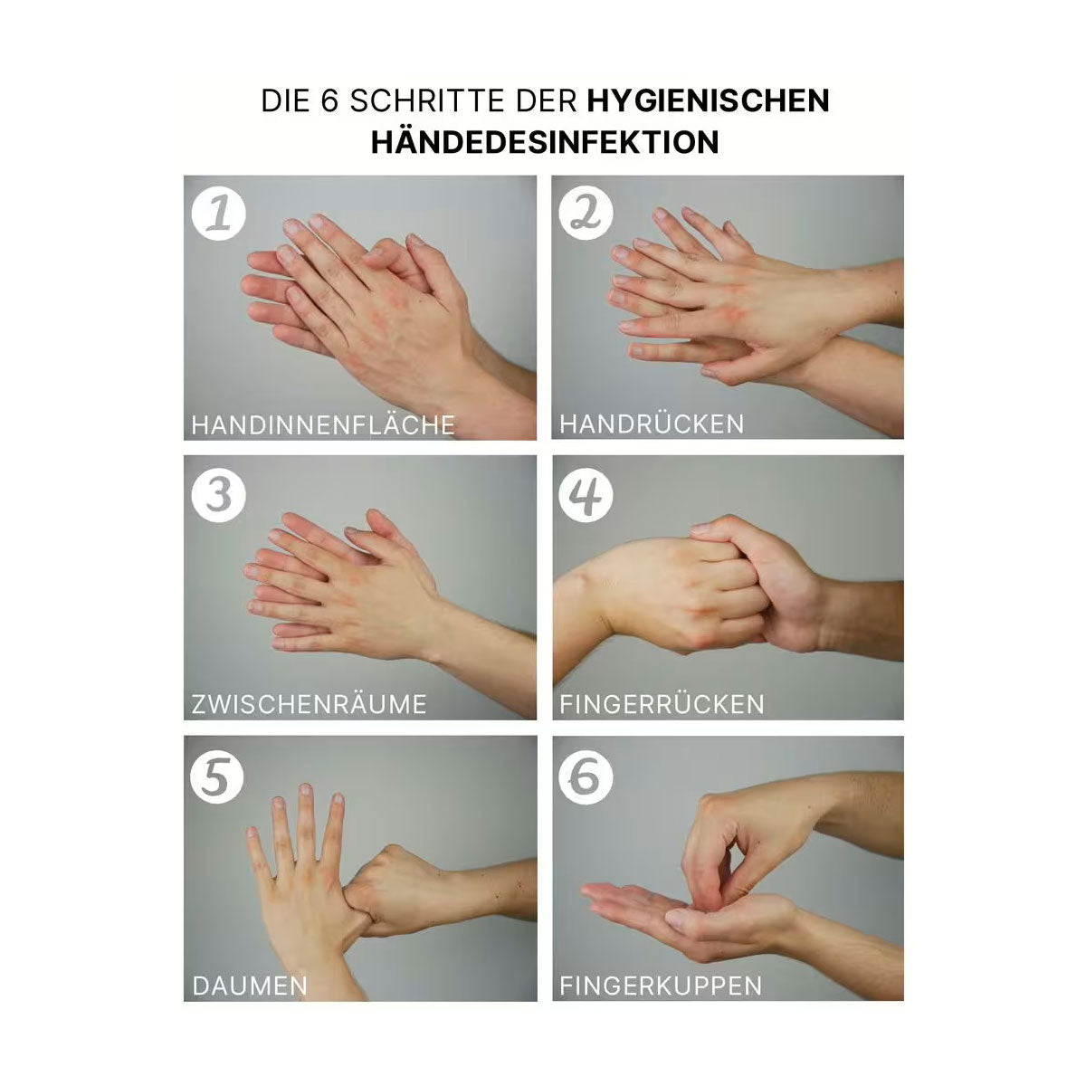 Handdesinfektion-in-6-Schritten