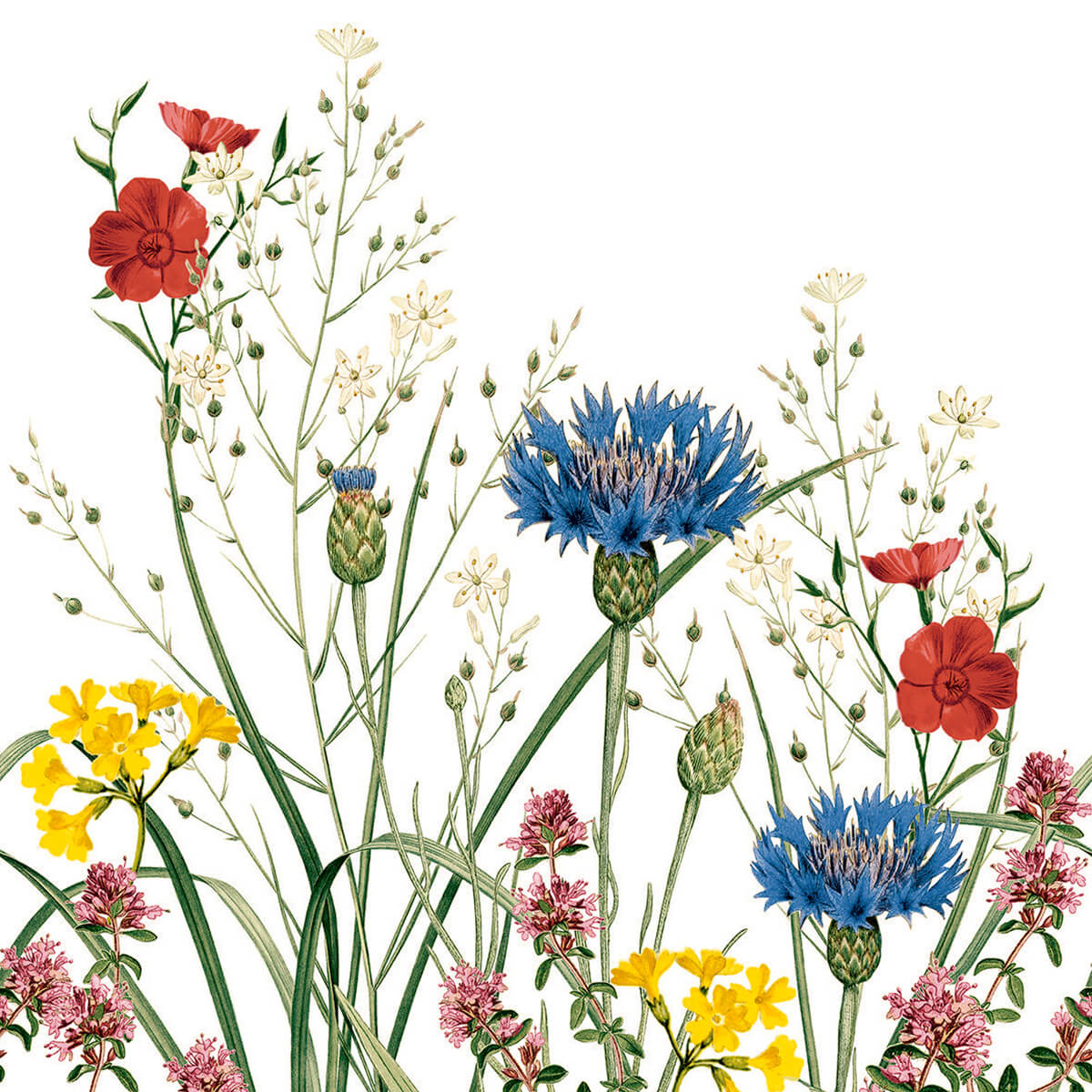 Linclass-Serviette-Edith-115859