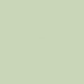 Spanlin-Bio-Serviette-Peggy-gruen-109380