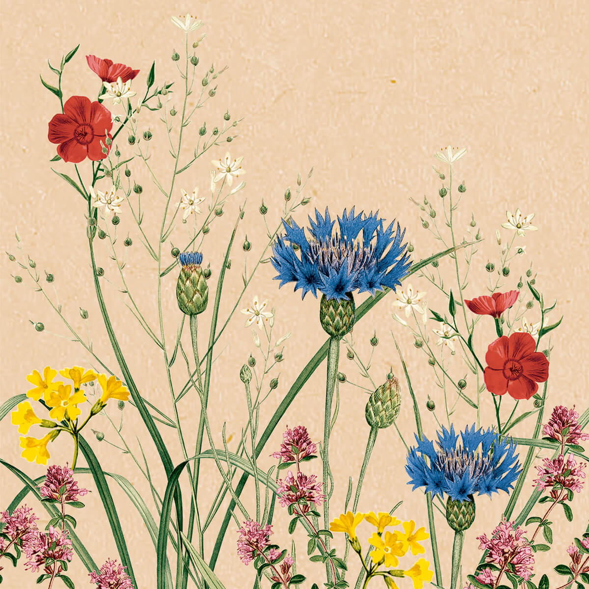 Tissue-Serviette-Edith-115928