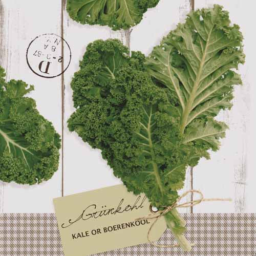 Linclass-Serviette-Gruenkohl-76887.jpg