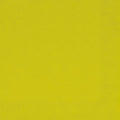 Duni-Zelltuch-Serviette-kiwi-149069.jpg