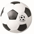 Glasabdecker-Fussball-46988.jpg