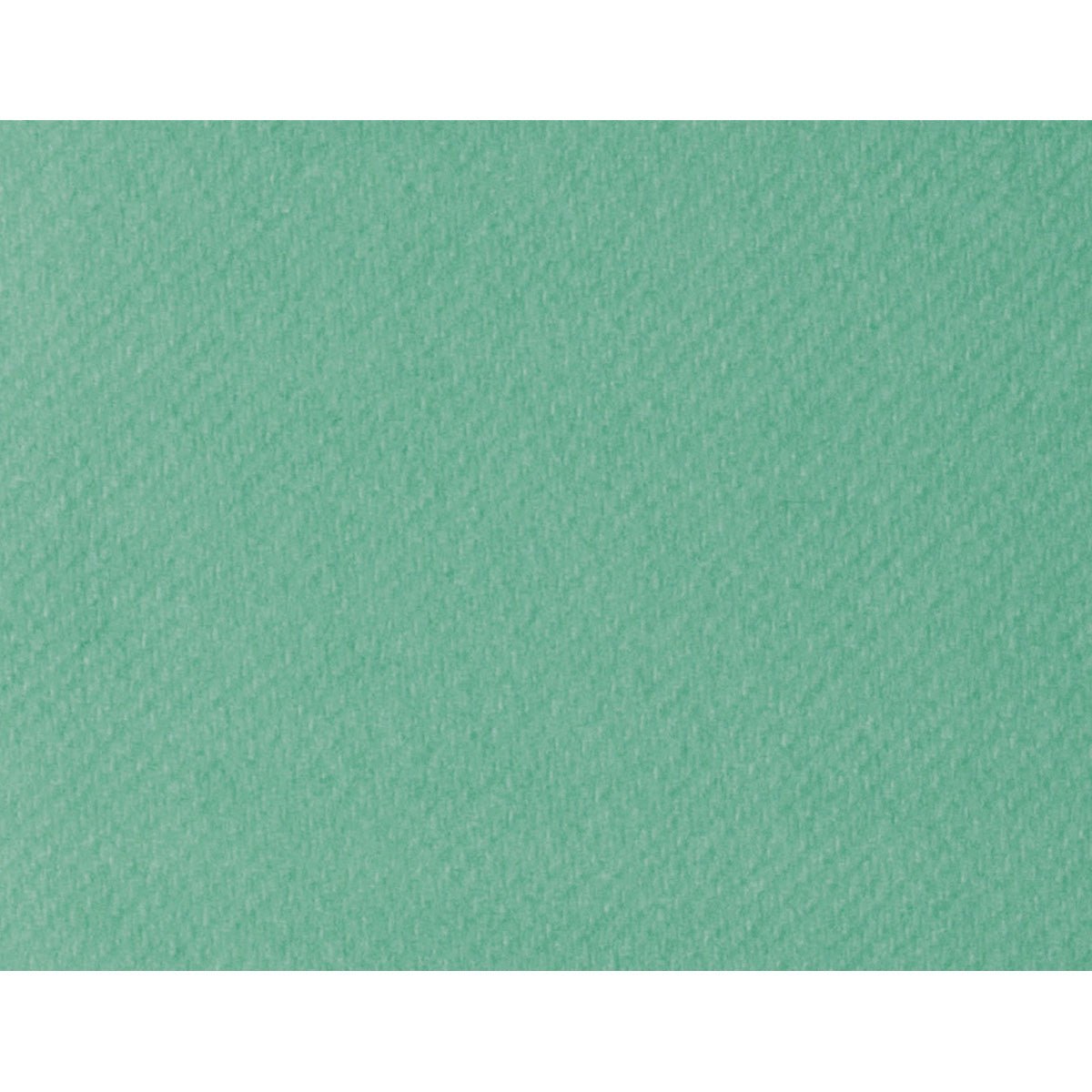 Linclass-Premium-Tischset-eukalyptus 40 x 30 cm