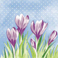 Linclass-Serviette-Fine_83299.jpg