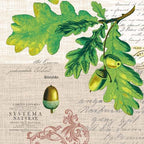 Linclass-Serviette-Simon_SV_L_93303.jpg