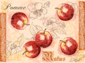 Malus_TS_67326.gif