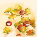 S09_Kastanie_48475.jpg