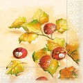 S09_Kastanie_SV_T33er_62418.jpg
