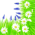 S23_Nele_SV_45362.gif