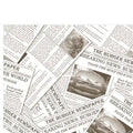 Serviette-Burger-Newspaper_Nap-to-go_30x33_RS_97567.jpg