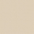 Serviette-Softpoint-Dot-nature 24 x 24 cm 1/4 Falz