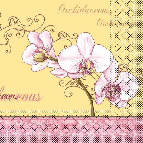 Tissue-Serviette-40x40-Orchidee-53455.jpg