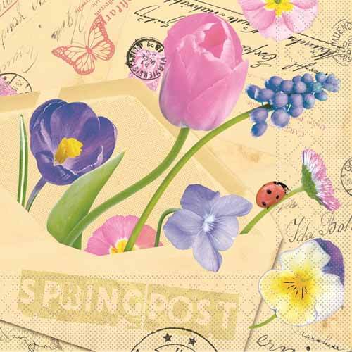 Tissue-Serviette-40x40-Springpost-81199.jpg