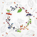 Tissue-Serviette-Brenda_99643.jpg