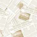 Tissue-Serviette-Burger-Newspaper_beige_82055.jpg