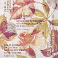 Tissue-Serviette-Gunnar-40x40-77975.jpg