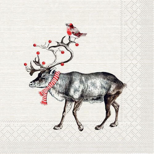 Tissue-Serviette-Knut_91191.jpg